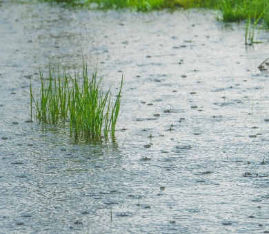 Think drainage is just a below-ground afterthought? The new NPPF says otherwise.